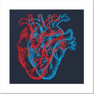 3D Human Heart Posters and Art